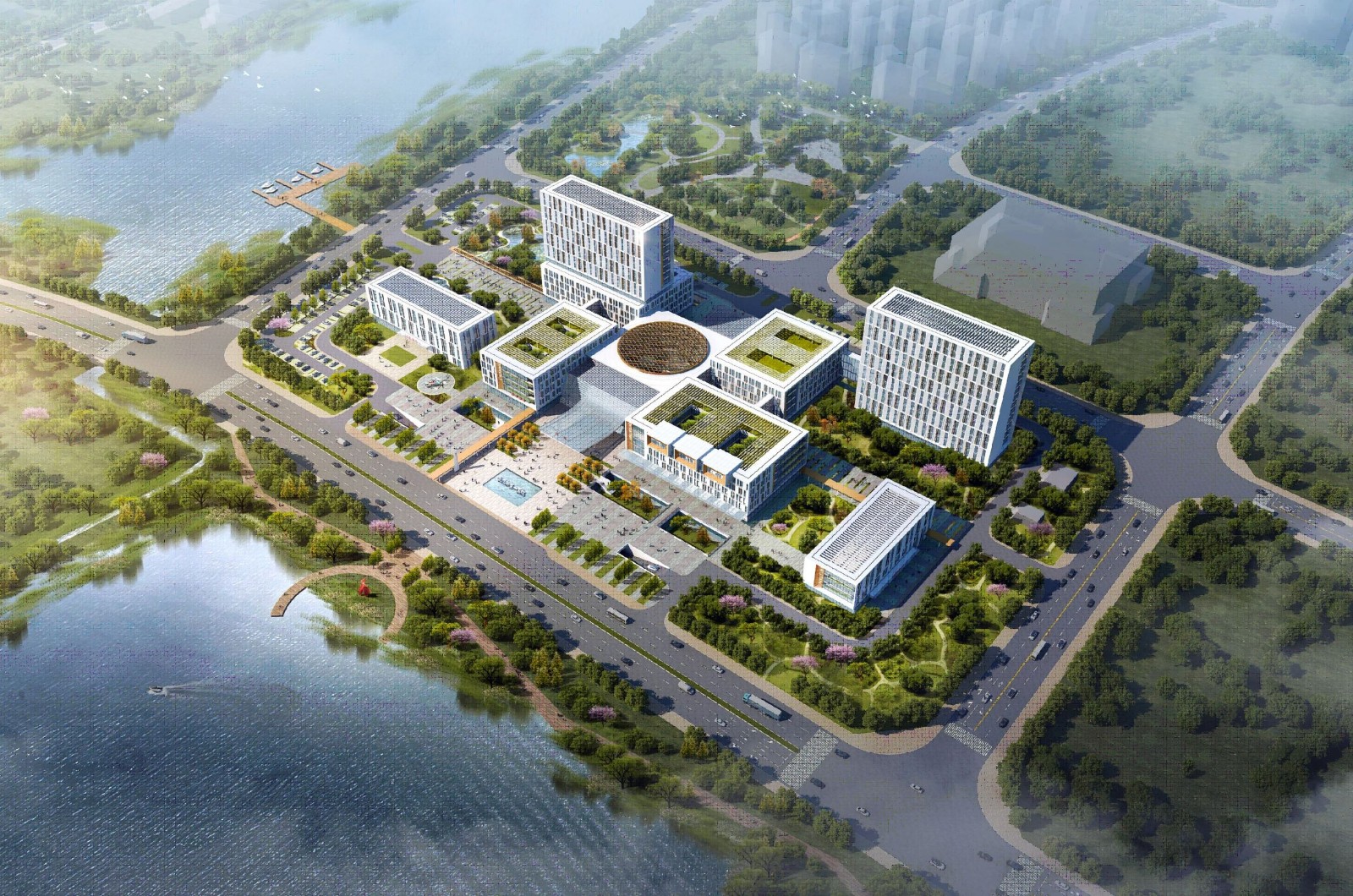 武汉市第一医院盘龙城医院建设项目（一期）项目管理.jpg